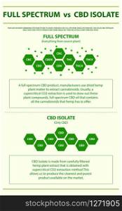 Full Spectrum vs CBD Isolate vertical infographic illustration about cannabis as herbal alternative medicine and chemical therapy, healthcare and medical science vector.