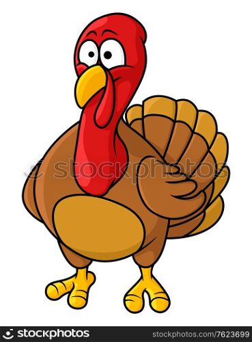 Fun caricature cartoon turkey standing facing the viewer with a bemused expression, cartoon illustration, for thanksgiving holiday or farming design