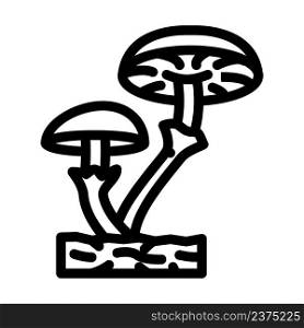 fungi mushroom line icon vector. fungi mushroom sign. isolated contour symbol black illustration. fungi mushroom line icon vector illustration