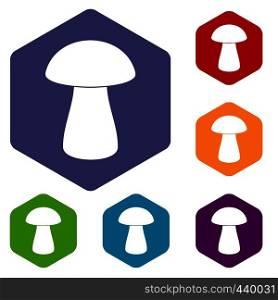 Fungus boletus icons set hexagon isolated vector illustration. Fungus boletus icons set hexagon