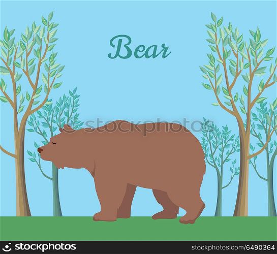 Funny Brown Bear Illustration. Funny brown bear on background of forest. Brown bear walking on grass in forest. Animal adorable brown bear vector character. Charming brown bear. Wildlife character