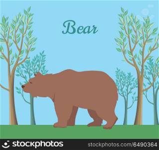 Funny Brown Bear Illustration. Funny brown bear on background of forest. Brown bear walking on grass in forest. Animal adorable brown bear vector character. Charming brown bear. Wildlife character