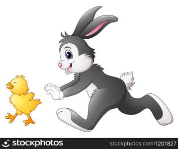 Funny bunny cartoon chasing chick