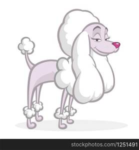 Funny cartoon french poodle. Vector illustration