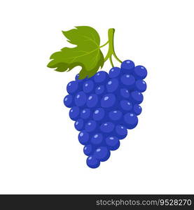 Funny cartoon grape. Cute fruit. Vector food illustration isolated on white background.