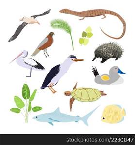 Funny cartoon mammals, reptiles, birds icons of Australian continent isolated on white background.. Australian animals. Vector illustration in flat style.The main symbols of the country.