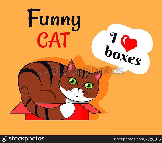 Funny cat, I love boxes, poster with kitty lying in container, thought of kitten and headline above, vector illustration isolated on yellow background. Funny Cat I Love Boxes Poster Vector Illustration