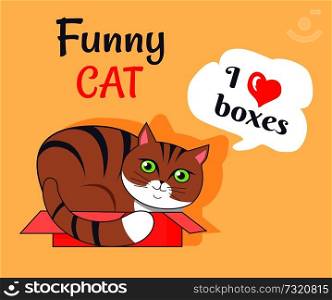 Funny cat, I love boxes, poster with kitty lying in container, thought of kitten and headline above, vector illustration isolated on yellow background. Funny Cat I Love Boxes Poster Vector Illustration