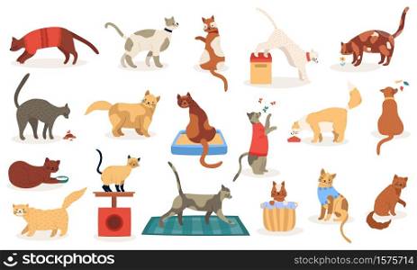 Funny cats. Cute adorable kitty cats, sleeping playing pedigree breeds pets, domestic kitten characters isolated vector illustration icons set. Domestic pet cat, pedigree and breed character. Funny cats. Cute adorable kitty cats, sleeping playing pedigree breeds pets, domestic kitten characters isolated vector illustration icons set
