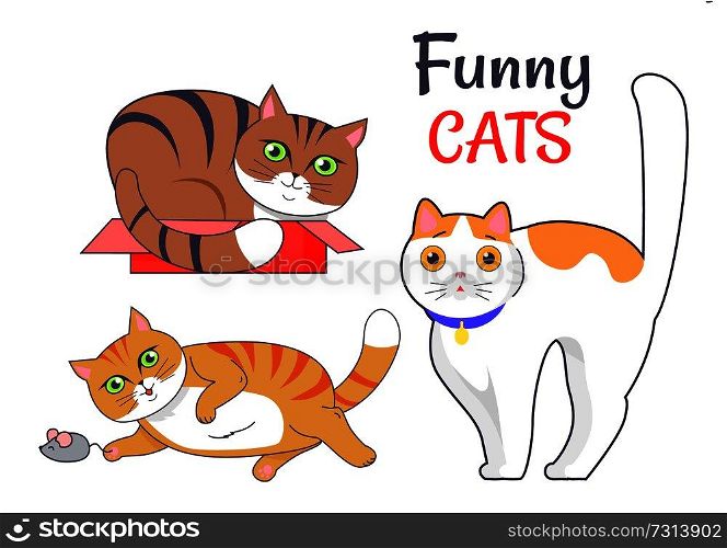 Funny cats sleeping in red box, playing with grey mouse, cute kitten in blue collar vector illustration of feline animals dedicated to cat day isolated. Funny Cats Sleeping in Box Playing with Grey Mouse