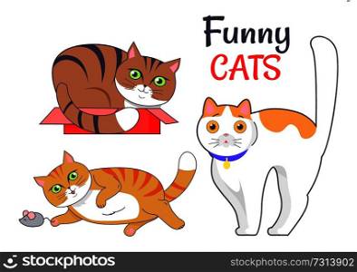 Funny cats sleeping in red box, playing with grey mouse, cute kitten in blue collar vector illustration of feline animals dedicated to cat day isolated. Funny Cats Sleeping in Box Playing with Grey Mouse