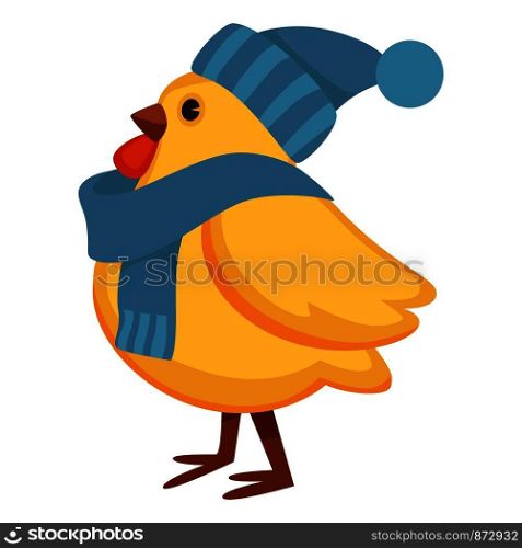 Funny chicken in warm knitted hat and scarf. Chubby hen with yellow plumage and winter accessories. Adorable domestic bird id headdress isolated cartoon flat vector illustration on white background.. Funny chicken in warm knitted hat and scarf