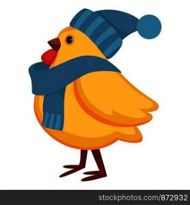 Funny chicken in warm knitted hat and scarf. Chubby hen with yellow plumage and winter accessories. Adorable domestic bird id headdress isolated cartoon flat vector illustration on white background.. Funny chicken in warm knitted hat and scarf