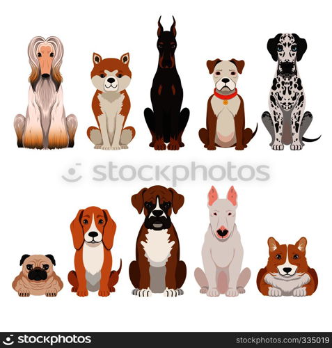 Funny dogs illustrations in cartoon style. Domestic pets animal dog, funny vector breed cartoon dog. Funny dogs illustrations in cartoon style. Domestic pets