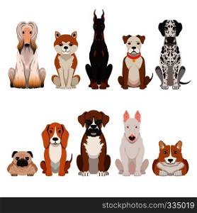 Funny dogs illustrations in cartoon style. Domestic pets animal dog, funny vector breed cartoon dog. Funny dogs illustrations in cartoon style. Domestic pets
