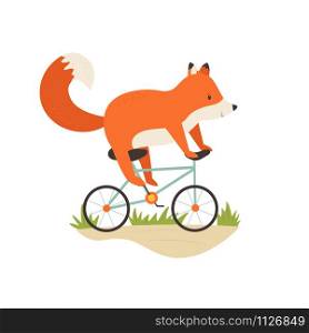 Funny little fox riding a bicycle. Vector illustration. Animal character design. Baby print isolated on white background. Funny fox riding a bicycle. Vector illustration.