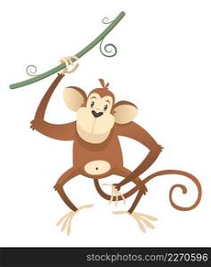 Funny monkey. Wild jungle animal. Tropical forest fauna isolated on white dackground. Funny monkey. Wild jungle animal. Tropical forest fauna