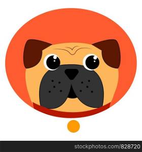 Funny pug, illustration, vector on white background.