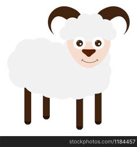 Funny sheep on a white background. Young goat. Funny sheep on a white background.