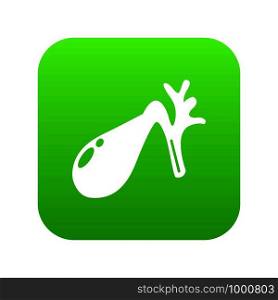 Gallbladder icon green vector isolated on white background. Gallbladder icon green vector