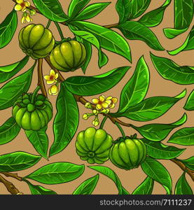 garcinia branches vector pattern on color background. garcinia branches vector pattern