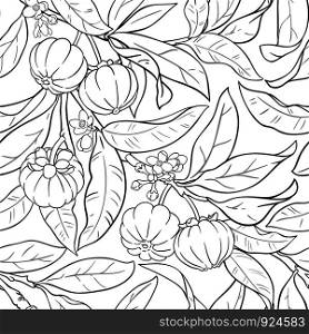 garcinia branches vector pattern on color background. garcinia branches vector pattern