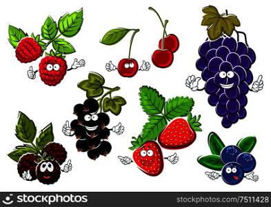 Garden berry fruits happy characters. Black currant, strawberry, raspberry, grape, blueberry, cherry and blackberry fruits. Garden berry fruits happy characters