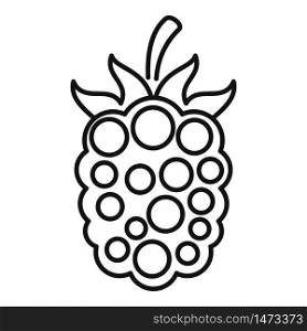 Garden blackberry icon. Outline garden blackberry vector icon for web design isolated on white background. Garden blackberry icon, outline style
