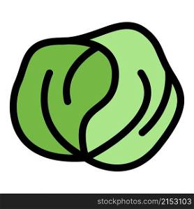 Garden cabbage icon. Outline garden cabbage vector icon color flat isolated. Garden cabbage icon color outline vector