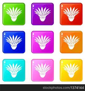 Garden flower icons set 9 color collection isolated on white for any design. Garden flower icons set 9 color collection