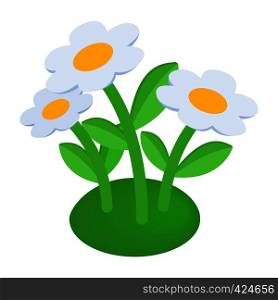 Garden flowers isometric 3d icon on a white background. Garden flowers isometric 3d icon