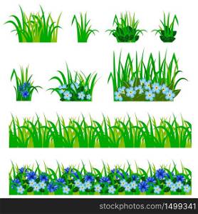 Garden flowers set. Cornflowers, green leaves, grass compositions, can be used as elements for scenes and landscape backgrounds creating. Vector illustration, isolated on white background