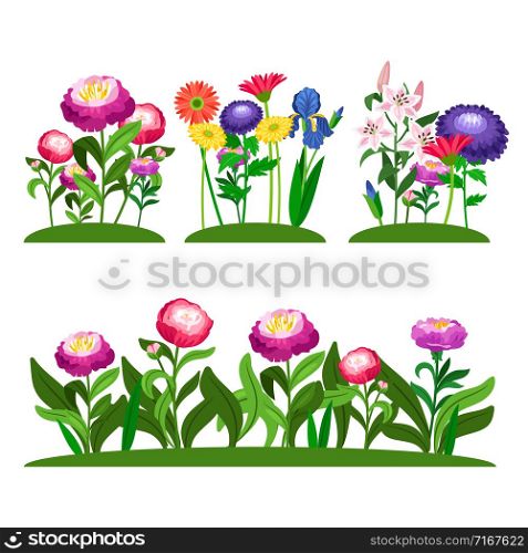 Garden flowers vector composition. Peony, lilly, daisy with green leaves. Illustration of colored flower in field. Garden flowers vector composition. Peony, lilly, daisy with green leaves