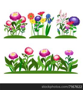 Garden flowers vector composition. Peony, lilly, daisy with green leaves. Illustration of colored flower in field. Garden flowers vector composition. Peony, lilly, daisy with green leaves