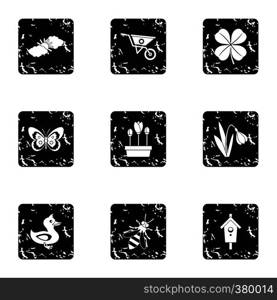 Garden icons set. Grunge illustration of 9 garden vector icons for web. Garden icons set, grunge style