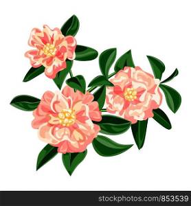 Garden pink camellia icon. Cartoon of garden pink camellia vector icon for web design isolated on white background. Garden pink camellia icon, cartoon style