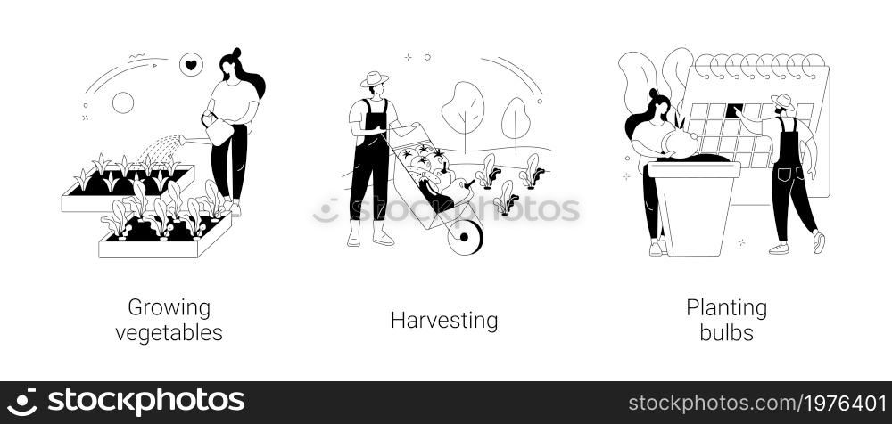 Garden seasonal works abstract concept vector illustration set. Growing vegetables and harvesting calendar, planting bulbs, organic food, salad seeds, container garden, flower bed abstract metaphor.. Garden seasonal works abstract concept vector illustrations.