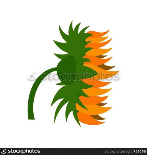 Garden sunflower icon. Flat illustration of garden sunflower vector icon for web. Garden sunflower icon, flat style