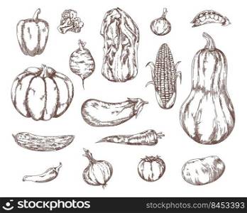Garden vegetables salad ingredients sketch set. Broccoli, carrot, potato, tomato, onion, eggplant, corn vector illustration. Hand drawn elements collection. Vegan food concept