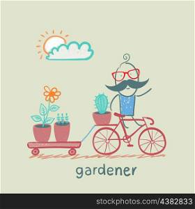 gardener carries a bicycle plant