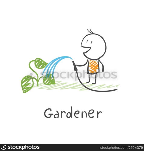 Gardener watering plants