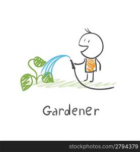 Gardener watering plants