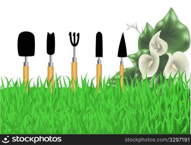 gardening. gardening tools and flowers isolated on a white background