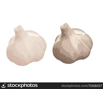 garlic head icon isolated white background vector illustration
