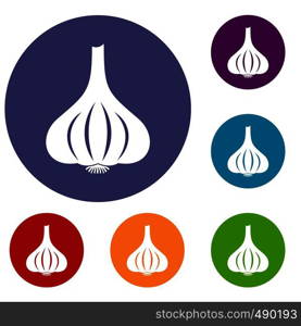 Garlic icons set in flat circle red, blue and green color for web. Garlic icons set