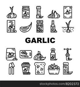 garlic white clove fresh icons set vector. spice food, plant vegetable, organic healthy, whole bulb, green garlic white clove fresh black contour illustrations. garlic white clove fresh icons set vector