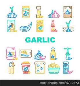 garlic white clove fresh icons set vector. spice food, plant vegetable, organic healthy, whole bulb, green garlic white clove fresh color line illustrations. garlic white clove fresh icons set vector