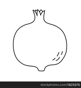 Garnet. Pomegranate fruit sketch. Black line icon. Vector illustration for coloring book