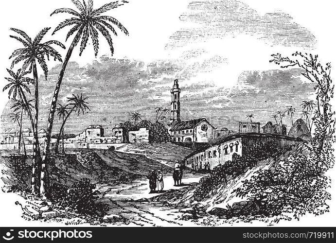 Gaza or Gaza City in Palestine, during the 1890s, vintage engraving. Old engraved illustration of Gaza with people and trees in front.