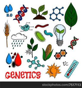 Genetic technologies in agriculture industry and science research experiments icon with colorful sketches of DNA and molecular models, corn vegetable, wheat ear and seedlings, plant cell structure, chemical formulas, pests and weather control, temperature measurements. Genetic technologies in agriculture sketches